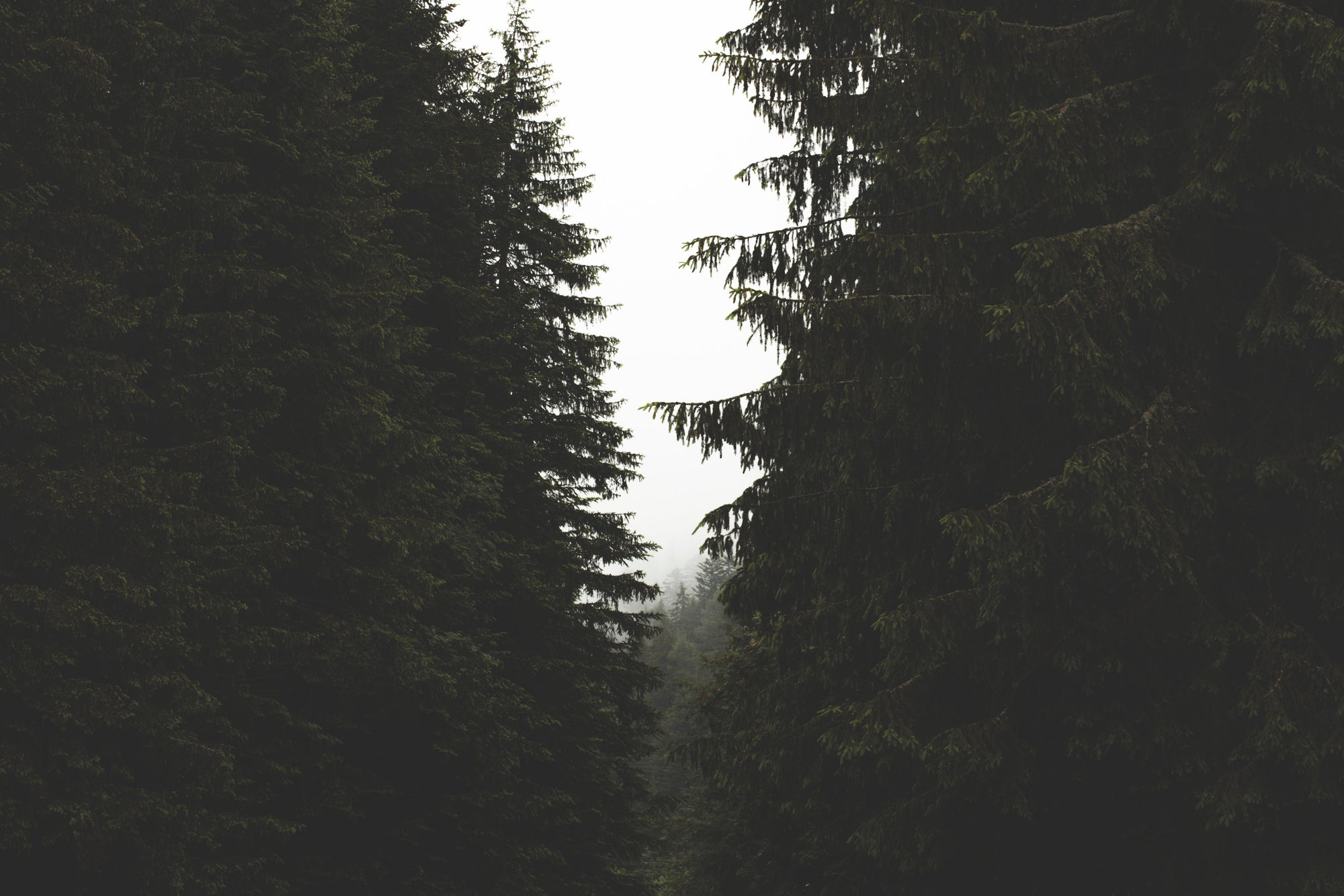 Test By Kratik