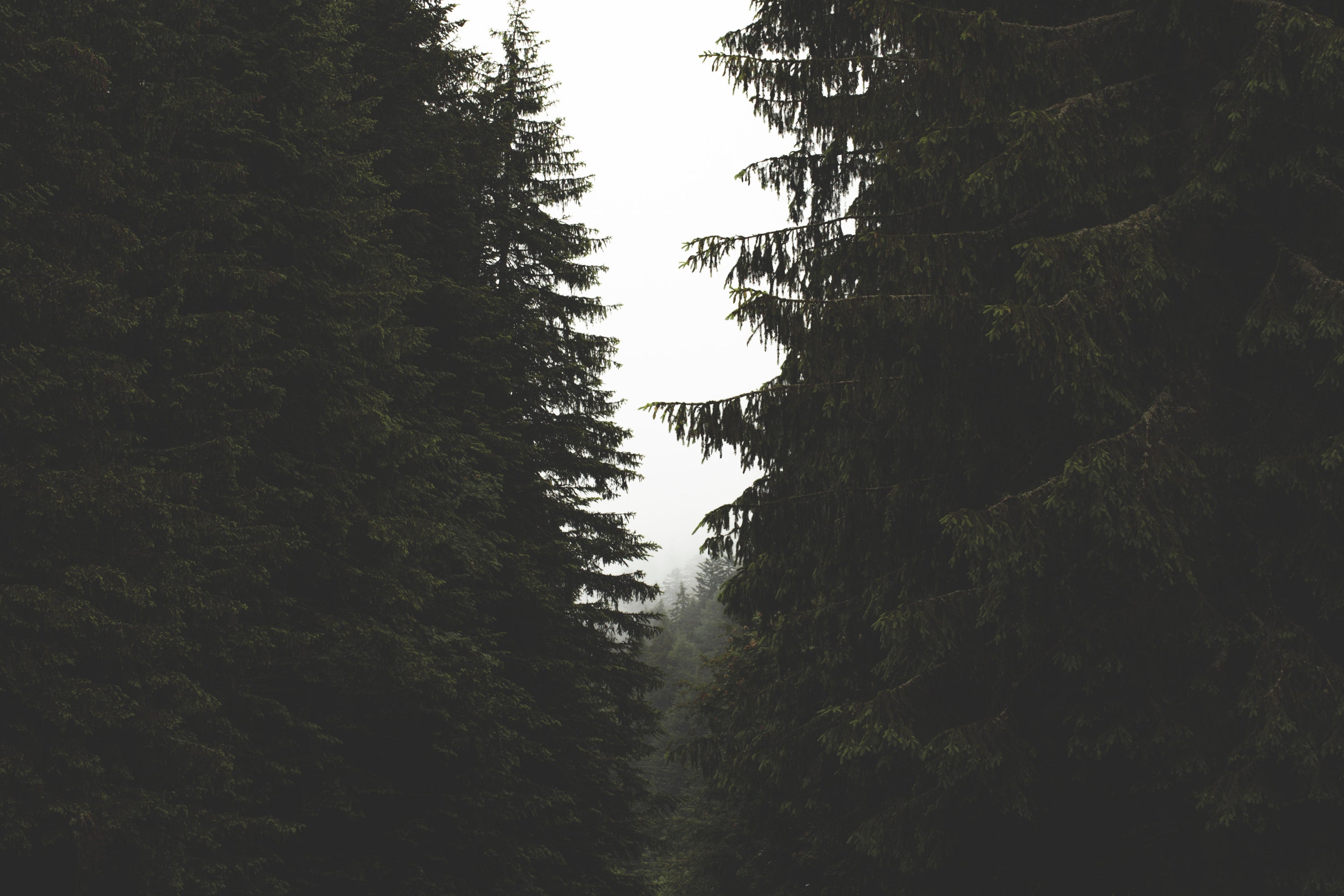 Test By Kratik